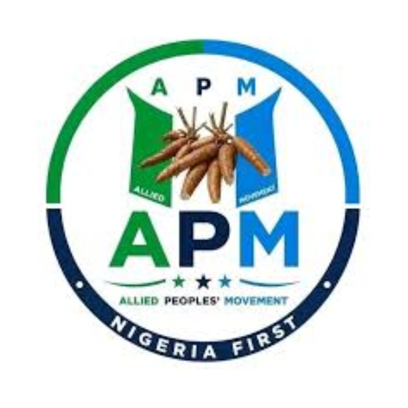 Insecurity: Nigerians deserve dividends of democracy not carnage – APM to govt