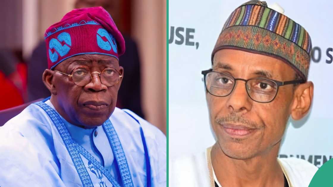 APC Cannot Sleep For Fear Of Rejection In Credible Polls – Baba-Ahmed