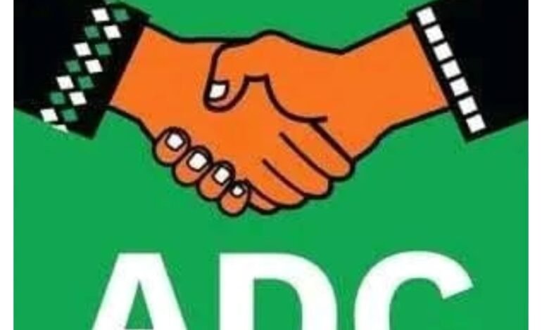 Borno ADC faults arrest of five youths wearing ‘Tinubu Must Go’ T-shirts
