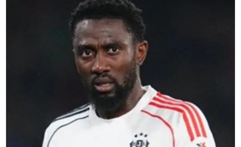Europa League: Ndidi lauds Beşiktaş' performance in Crystal Palace draw